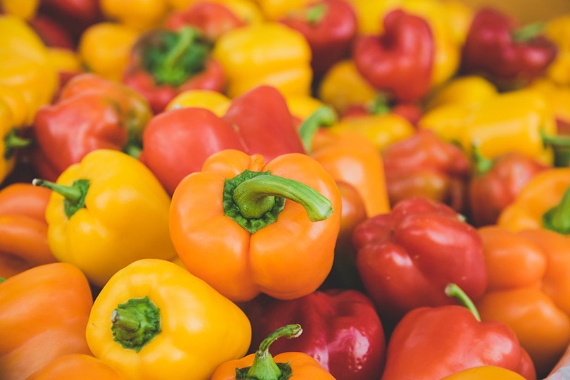 10 Best Vegetables to Grow in Colorado (With Pictures)