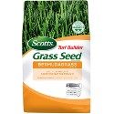 5 Best Grasses for Dog Urine in 2022 – Reviews & Top Picks