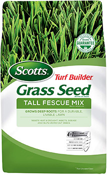 5 Best Grasses for Dog Urine in 2022 – Reviews & Top Picks