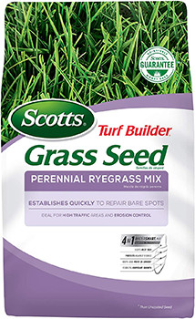 5 Best Grasses for Dog Urine in 2022 – Reviews & Top Picks