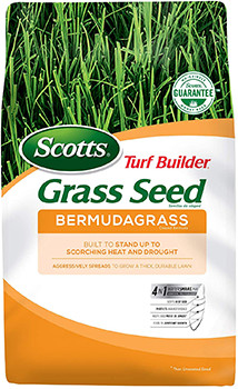 5 Best Grasses for Dog Urine in 2022 – Reviews & Top Picks