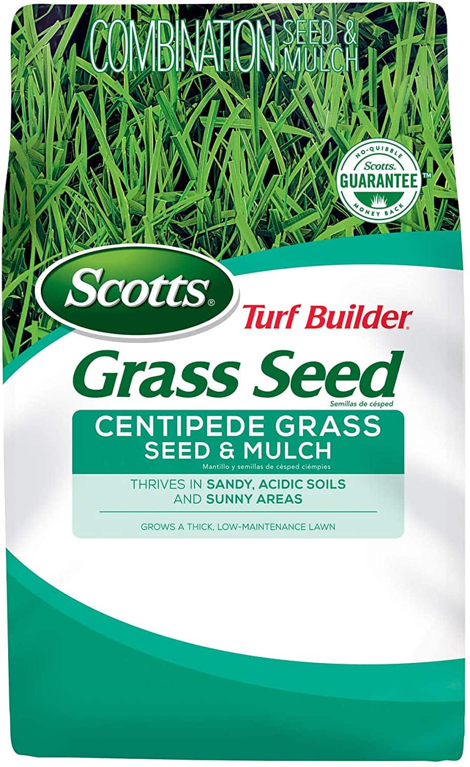 5 Best Grasses for Dog Urine in 2022 – Reviews & Top Picks