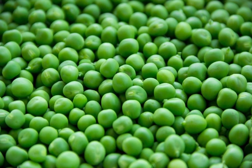 11 Best Vegetables to Grow in Ohio (With Pictures)