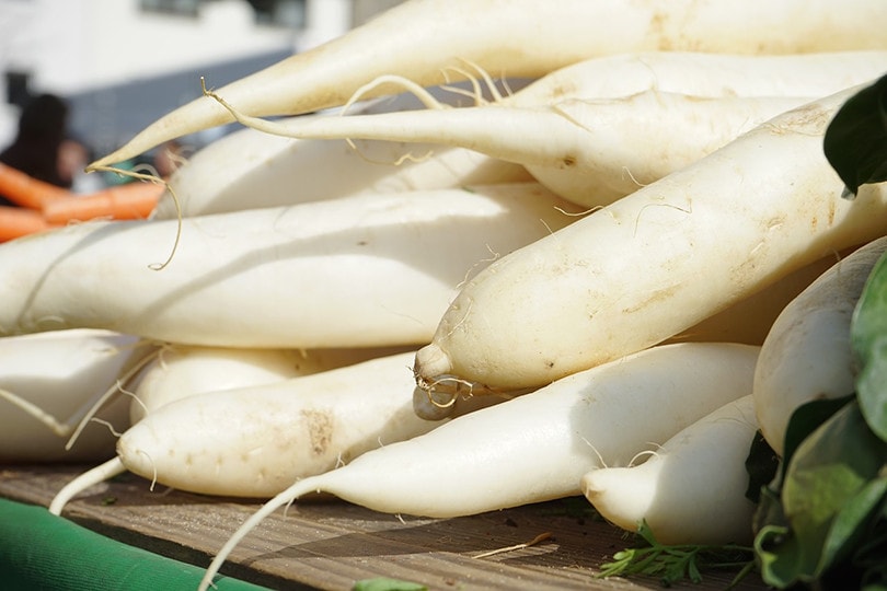 11 Best Vegetables to Grow in Ohio (With Pictures)