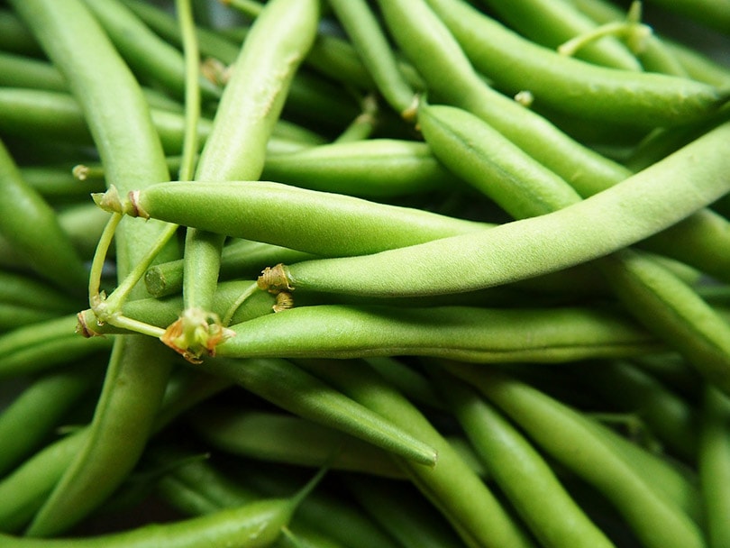 14 Best Vegetables to Grow in Arizona (With Pictures)