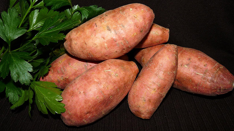 14 Best Vegetables to Grow in Arizona (With Pictures)