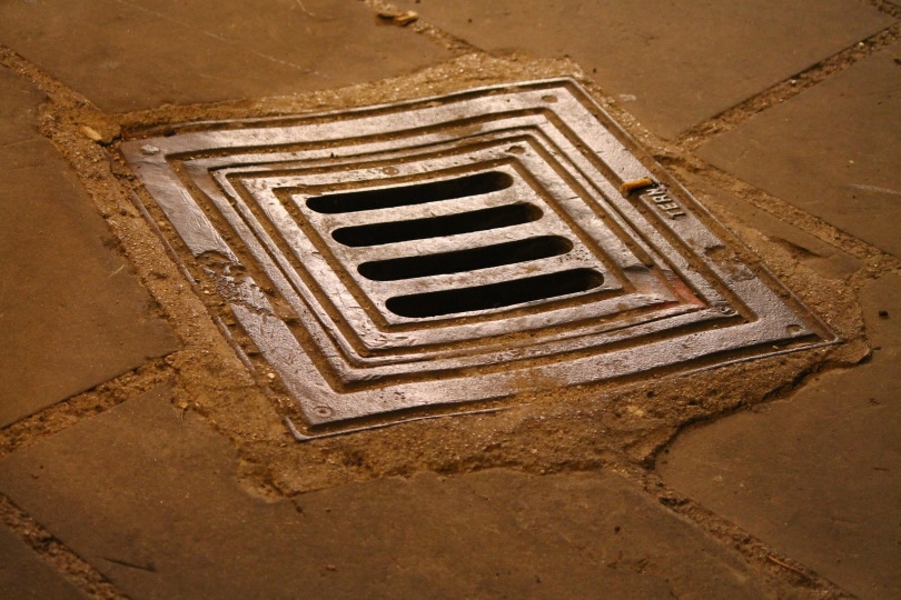2 Different Types Of Garage Floor Drains. What You Need To Know!