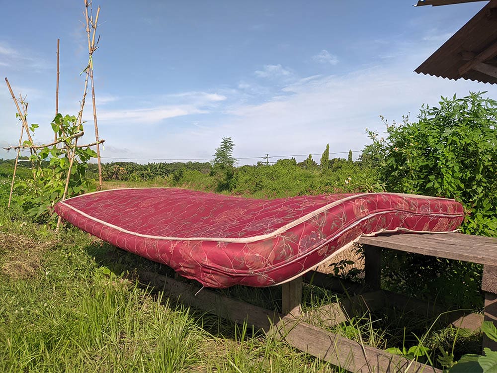 How To Get Dog Vomit Out Of a Mattress in 5 Steps (with Pictures)