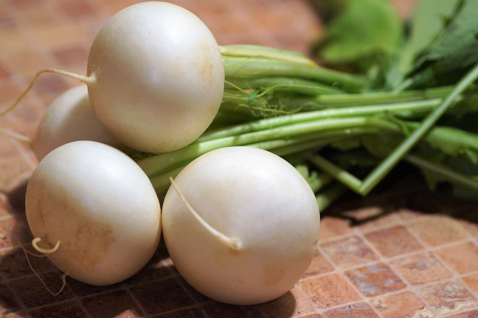 12 Best Vegetables To Grow In Florida (With Pictures)
