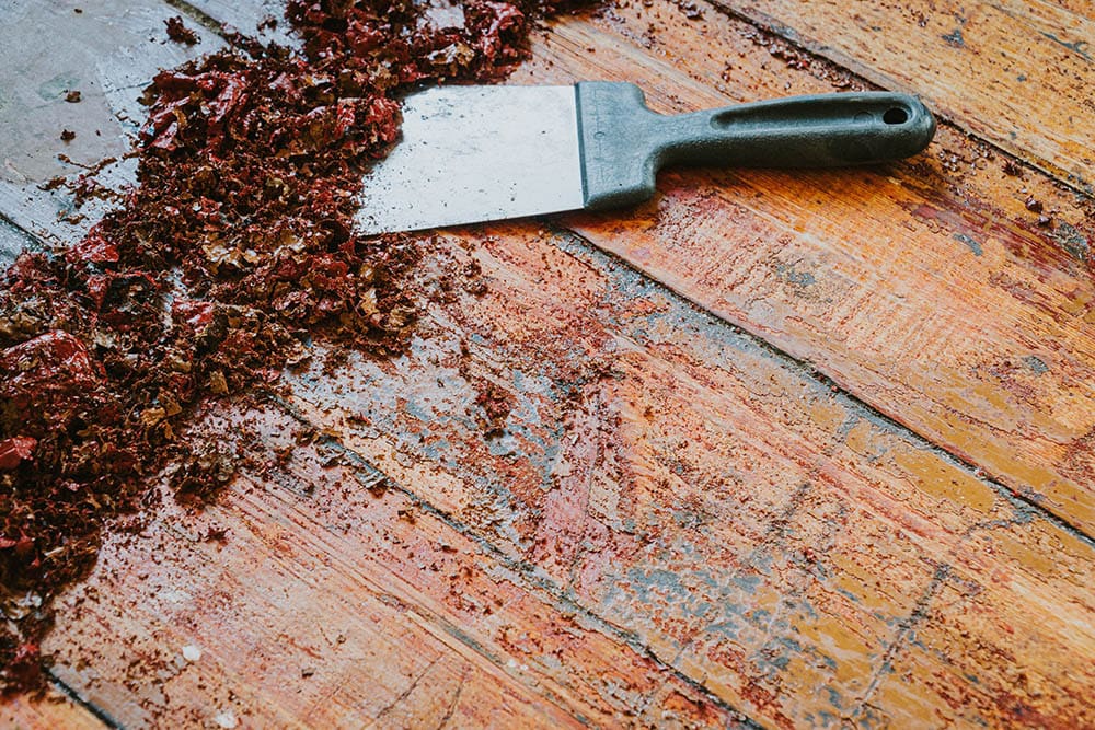 16 Types of Landscape Edging (with Pictures)