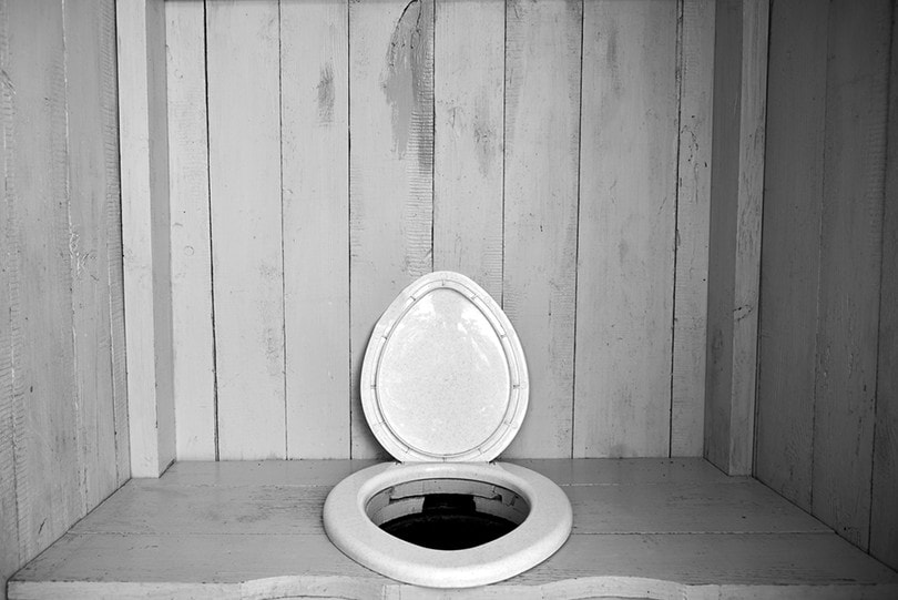 Does A Composting Toilet Smell? What You Need To Know!