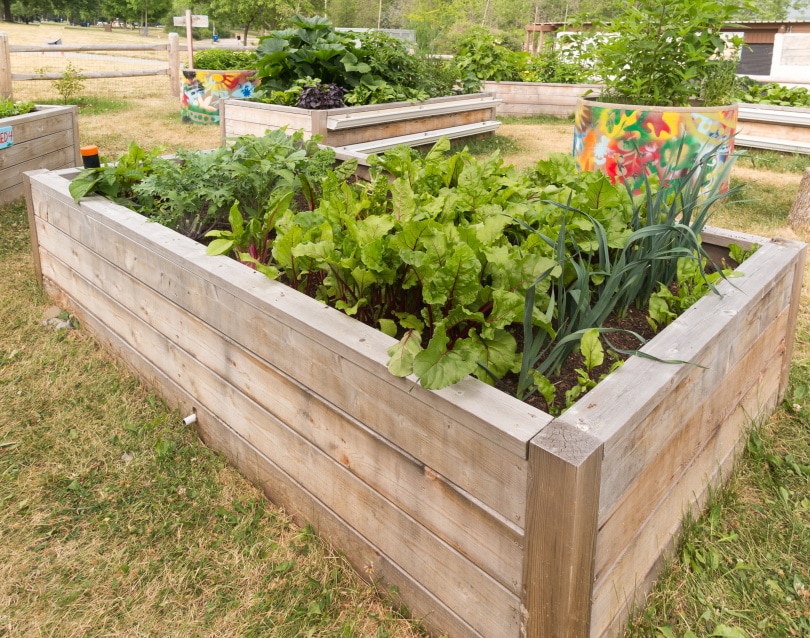 15 Landscape Ideas Where Grass Won’t Grow (With Pictures)
