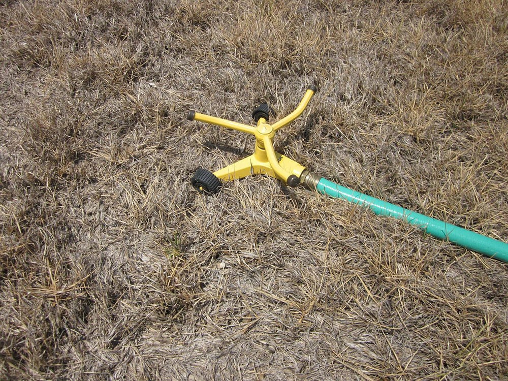 11 Different Types of Sprinklers (With Pictures)