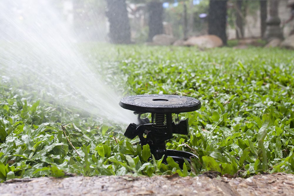 11 Different Types of Sprinklers (With Pictures)
