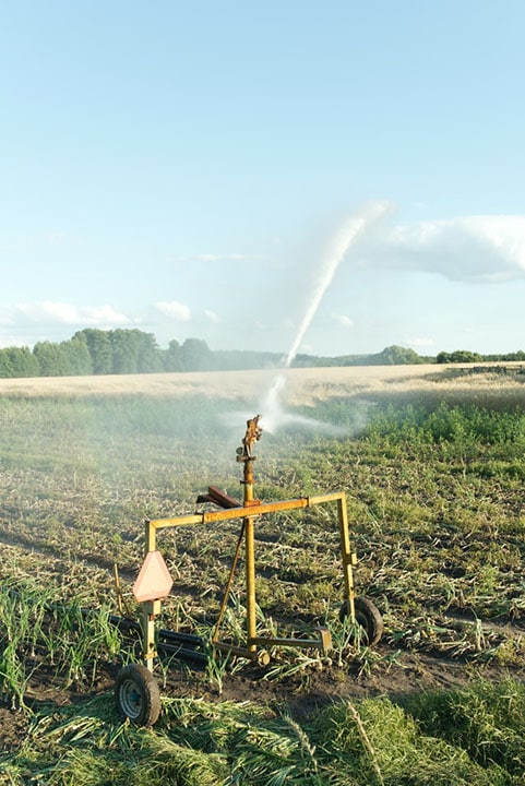 11 Different Types of Sprinklers (With Pictures)