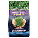 10 Best Grass Seed for Dog Urine Spots in 2022 – Reviews & Top Picks