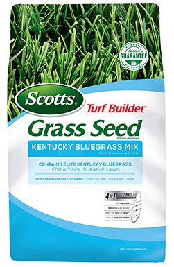 10 Best Grass Seed for Dog Urine Spots in 2022 – Reviews & Top Picks