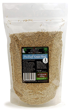 10 Best Grass Seed for Dog Urine Spots in 2022 – Reviews & Top Picks