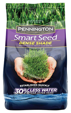 10 Best Grass Seed for Dog Urine Spots in 2022 – Reviews & Top Picks