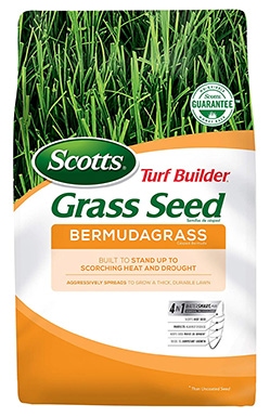 10 Best Grass Seed for Dog Urine Spots in 2022 – Reviews & Top Picks