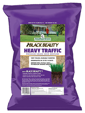 10 Best Grass Seed for Dog Urine Spots in 2022 – Reviews & Top Picks
