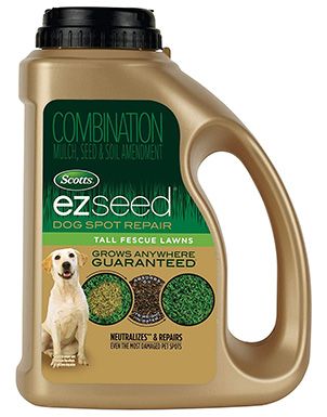 10 Best Grass Seed for Dog Urine Spots in 2022 – Reviews & Top Picks