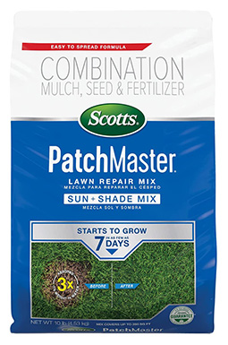 10 Best Grass Seed for Dog Urine Spots in 2022 – Reviews & Top Picks