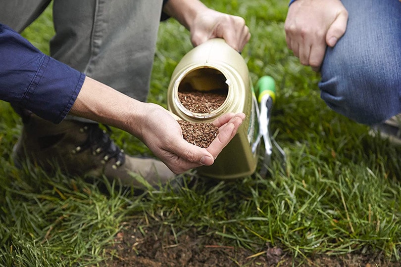 10 Best Grass Seed for Dog Urine Spots in 2022 – Reviews & Top Picks