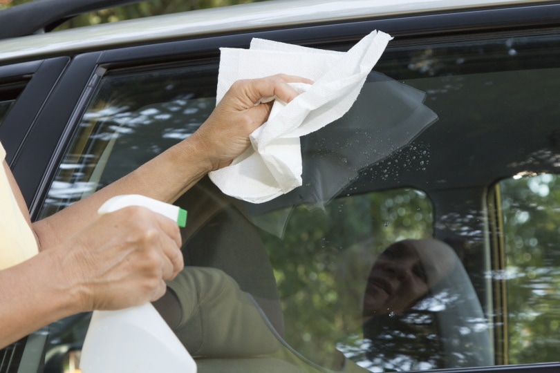 Can You Compost Paper Towels? Are They Biodegradable?