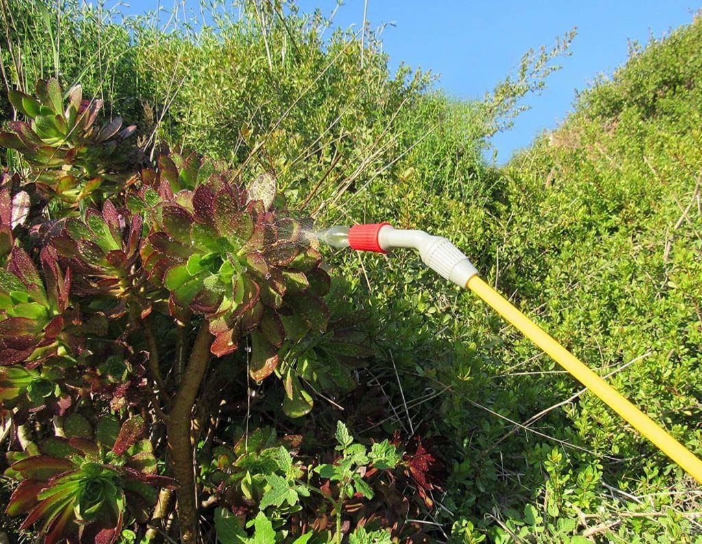 Backpack Sprayer vs Garden Sprayer: How To Choose?