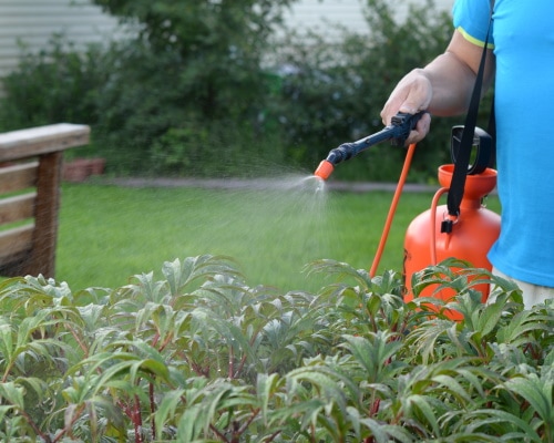 10 Best Garden Sprayers of 2022 (Electric &#038 Manual Pump) &#8211 Reviews &#038 Top Picks