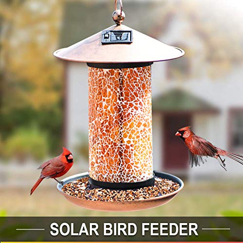 20 Great Gardening Gift Ideas for Mom