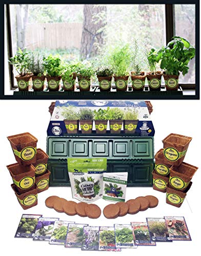 20 Great Gardening Gift Ideas for Mom