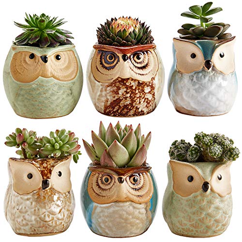 20 Great Gardening Gift Ideas for Mom