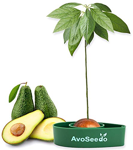 20 Great Gardening Gift Ideas for Mom