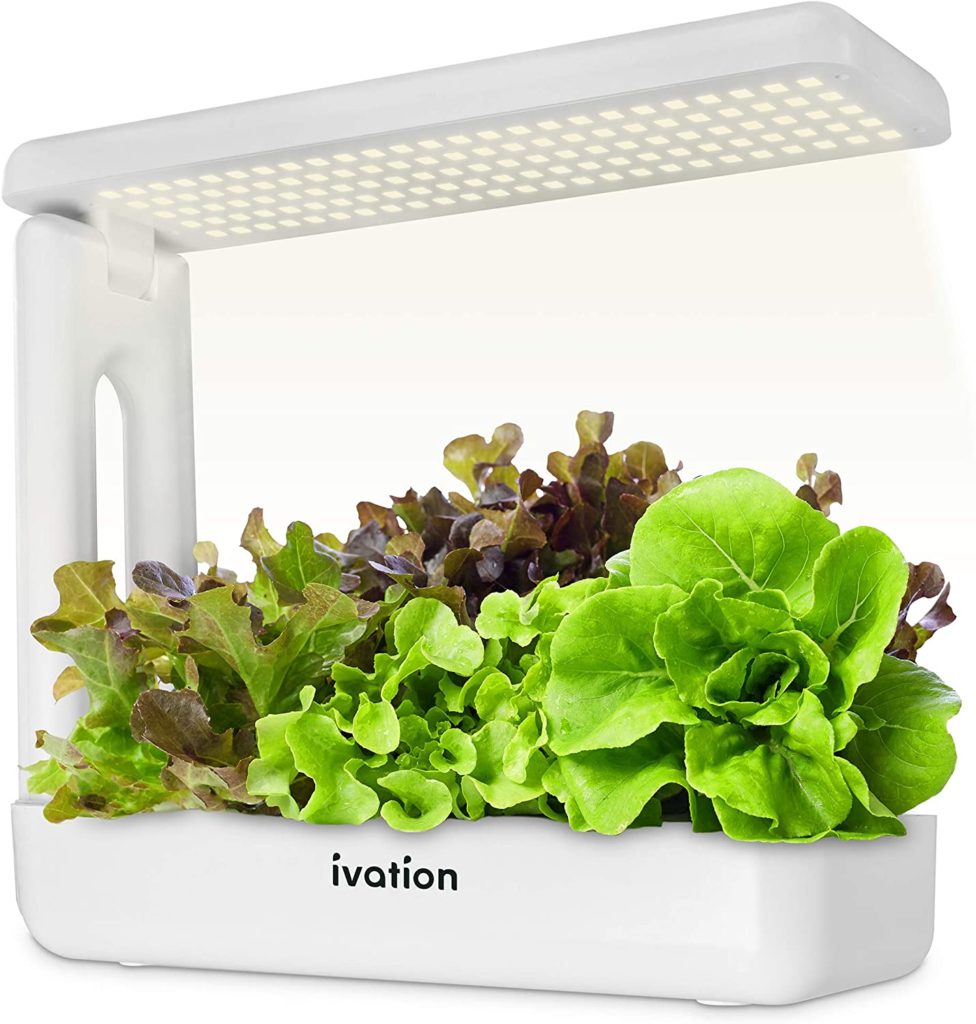 25 Great Gardening Gifts for Grandma