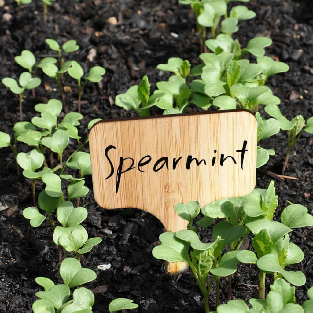 25 Great Gardening Gifts for Grandma