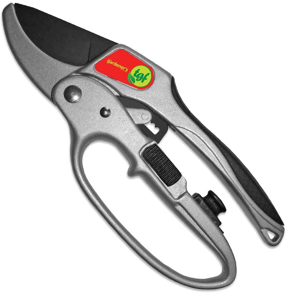 25 Great Gardening Gifts for Grandma
