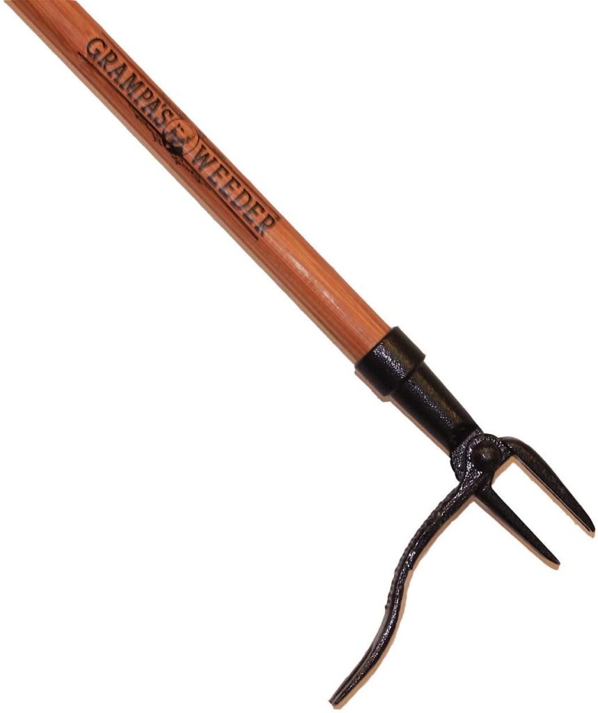 25 Great Gardening Gifts for Grandma