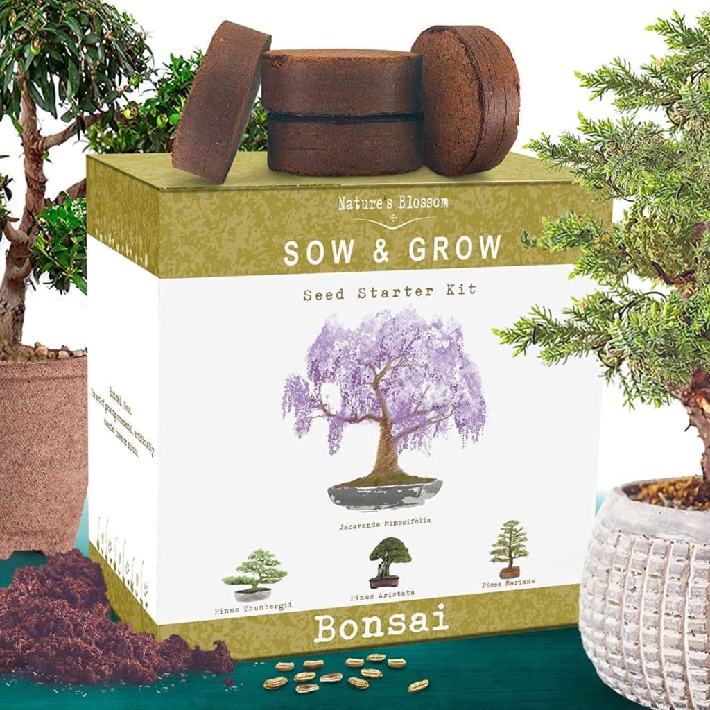 25 Great Gardening Gifts for Grandma