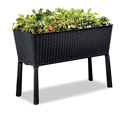 25 Gift Ideas for the Gardener Who Has Everything