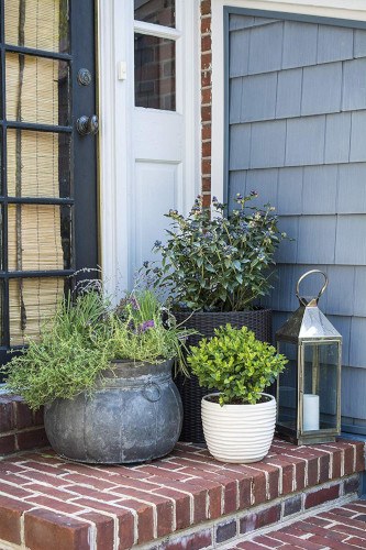 25 Gift Ideas for the Gardener Who Has Everything