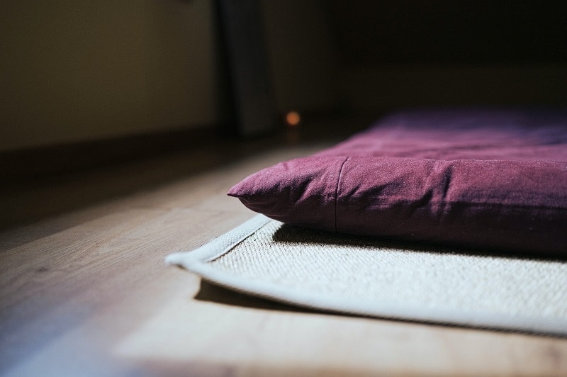 41 Brilliant Uses for Old Pillows in Your Home & Garden