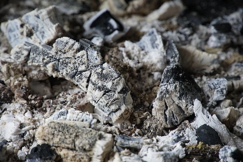 21 Brilliant Uses for Wood Ash in Your Home &#038; Garden