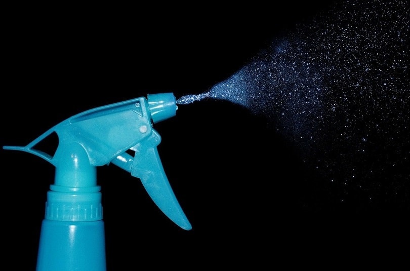 21 Brilliant Uses for Wood Ash in Your Home & Garden