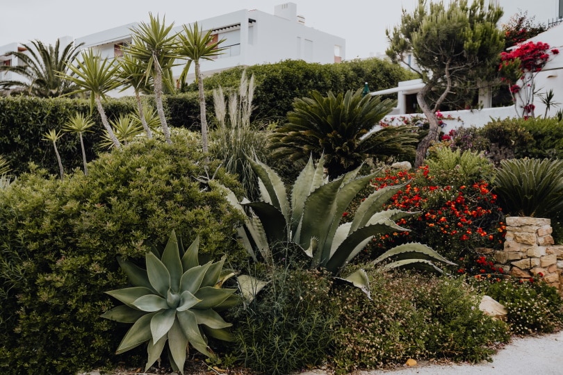 10 Garden Trends in 2022 – Design Ideas for a Modern Home