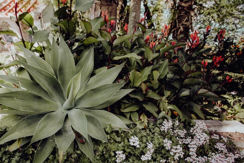 10 Garden Trends in 2022 – Design Ideas for a Modern Home