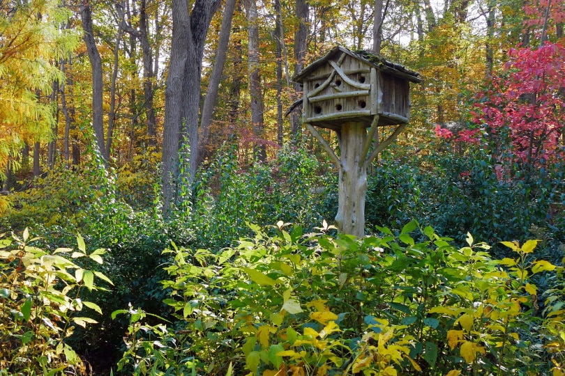 10 Garden Trends in 2022 – Design Ideas for a Modern Home