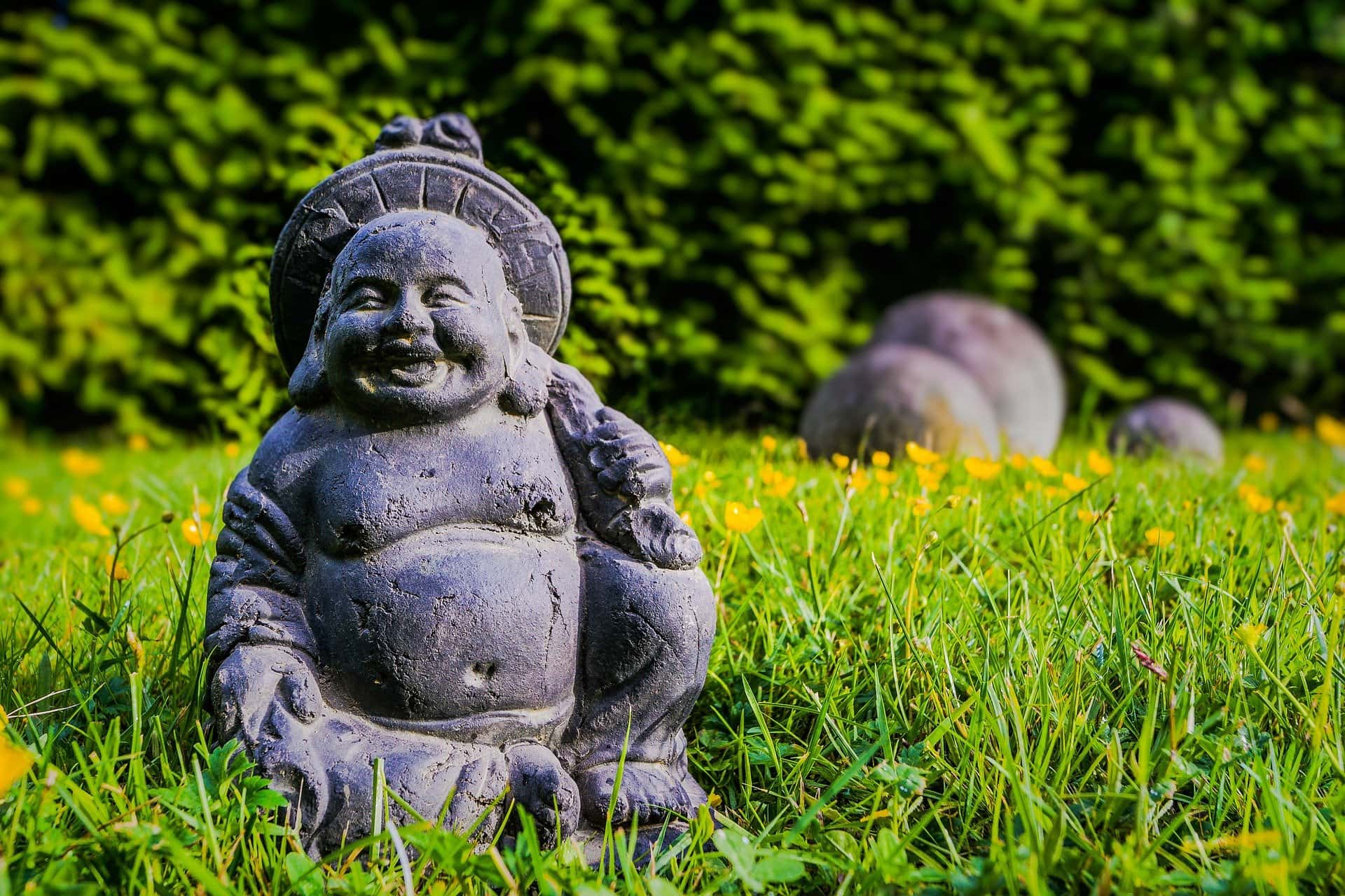 What Is a Zen Garden?