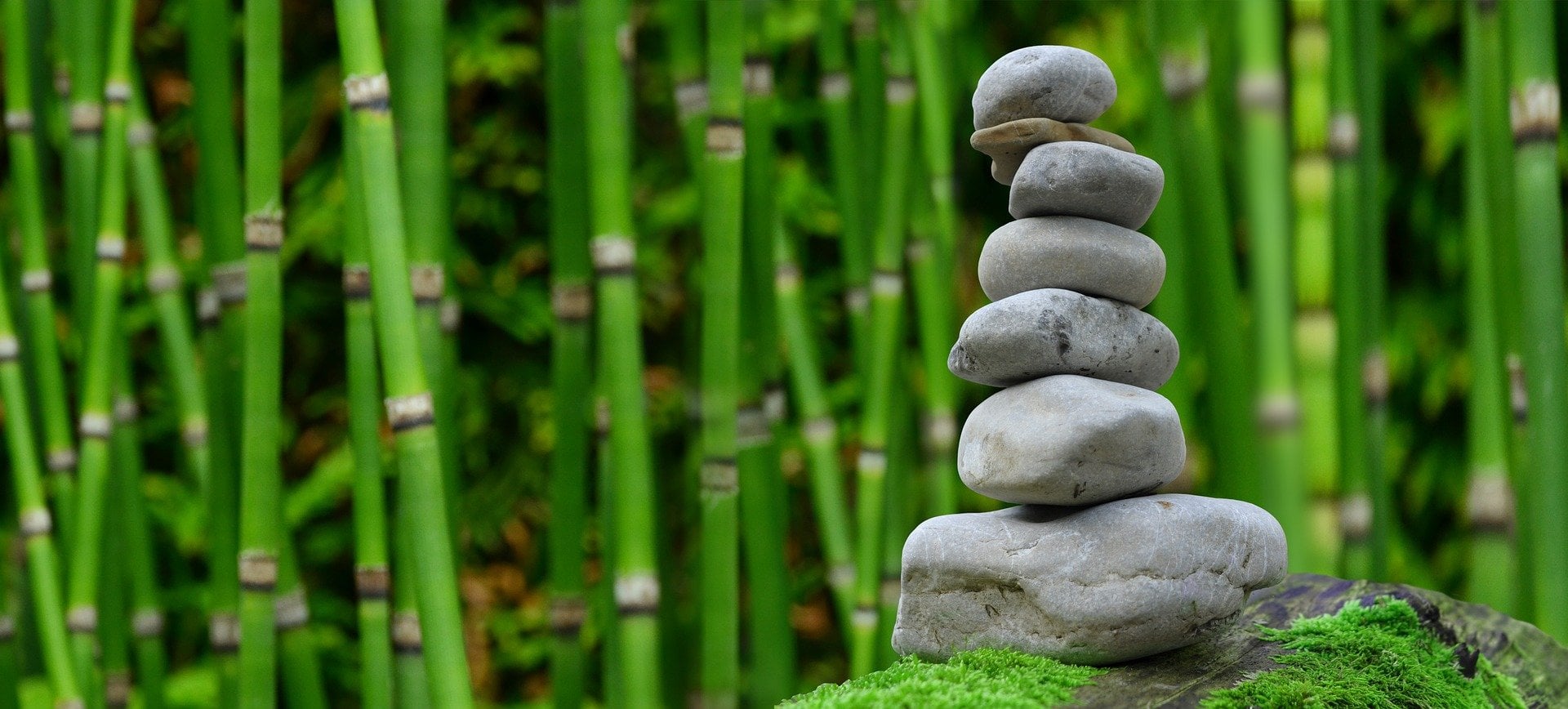 What Is a Zen Garden?